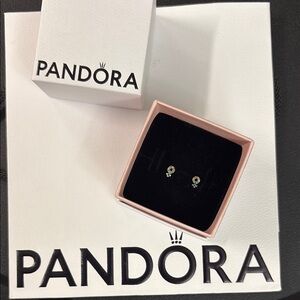 Beautiful and Delicate Pandora stud earrings in Silver & different stones colors